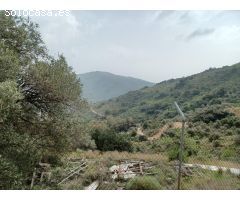VENTA A PLAZOS DE PARCELA VALLADA.