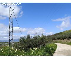 FINCA RUSTICA