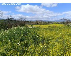 FINCA RUSTICA