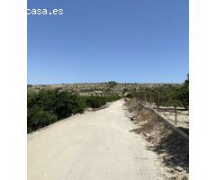 Magnifica Finca de citricos en produccion