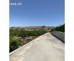 Magnifica Finca de citricos en produccion