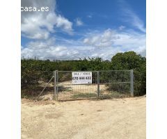 Estupenda finca agricola