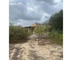 Estupenda finca agricola