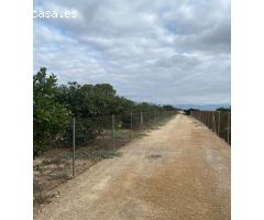 Estupenda finca agricola