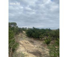 Estupenda finca agricola