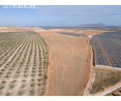 FINCA EN VENTA EN DARRO