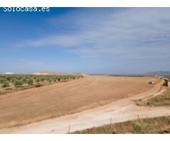FINCA EN VENTA EN DARRO