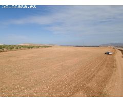 FINCA EN VENTA EN DARRO