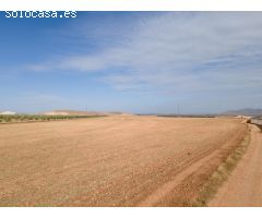 FINCA EN VENTA EN DARRO