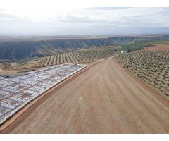 FINCA EN VENTA EN DARRO