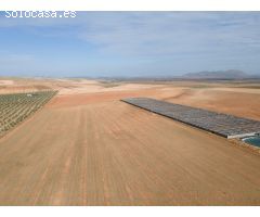 FINCA EN VENTA EN DARRO