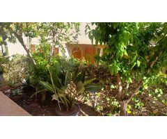 DUPLÉX EN VENTA ALTORREAL