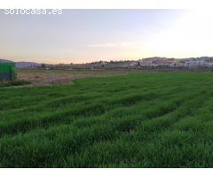 VENTA DE FINCA EN LAS GABIAS