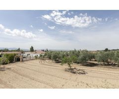 !!! OASIS A 5 MINUTOS DE GRANADA ¡¡¡