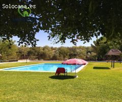 FINCA CON OLIVOS Y PISCINA