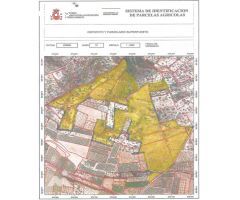 EN VENTA FINCA DE 218.000M² EN TERMINO DE CALIG (CASTELLON).