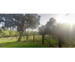 PRECIOSA FINCA RÚSTICA CERCANA AL CASCO DE GALAPAGAR