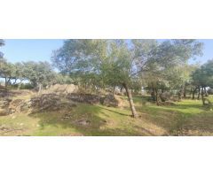 PRECIOSA FINCA RÚSTICA CERCANA AL CASCO DE GALAPAGAR