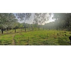 PRECIOSA FINCA RÚSTICA CERCANA AL CASCO DE GALAPAGAR