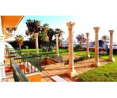 Planta baja en Alquiler en Palma de Mallorca, Islas Baleares