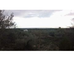 Finca rustica en Venta en El Perelló, Tarragona