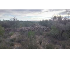 Finca rustica en Venta en El Perelló, Tarragona