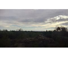 Finca rustica en Venta en El Perelló, Tarragona