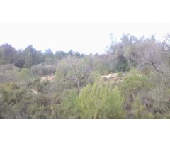Finca rustica en Venta en El Perelló, Tarragona