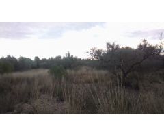 Finca rustica en Venta en El Perelló, Tarragona