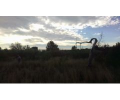 Finca rustica en Venta en El Perelló, Tarragona