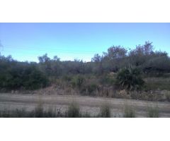 Finca rustica en Venta en El Perelló, Tarragona