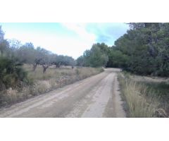Finca rustica en Venta en El Perelló, Tarragona
