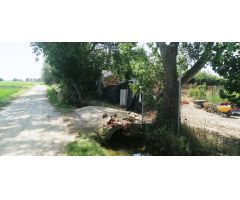 Finca rustica en Venta en Deltebre, Tarragona