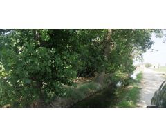 Finca rustica en Venta en Deltebre, Tarragona