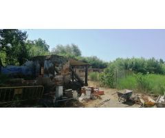 Finca rustica en Venta en Deltebre, Tarragona