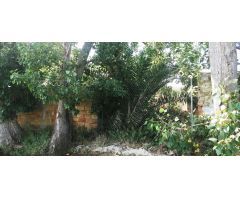 Finca rustica en Venta en Deltebre, Tarragona