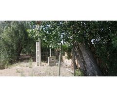 Finca rustica en Venta en Deltebre, Tarragona