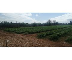 Parcela en Venta en LAldea, Tarragona