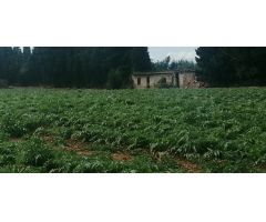 Parcela en Venta en LAldea, Tarragona