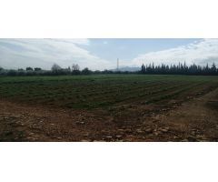 Parcela en Venta en LAldea, Tarragona