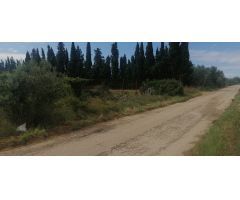 Parcela en Venta en LAldea, Tarragona