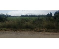 Parcela en Venta en LAldea, Tarragona