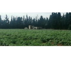 Parcela en Venta en LAldea, Tarragona