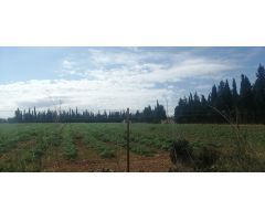 Parcela en Venta en LAldea, Tarragona