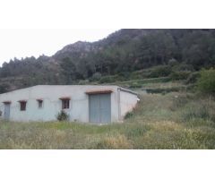Finca rustica en Venta en Benifallet, Tarragona