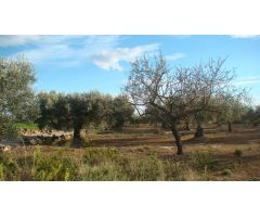 Finca rustica en Venta en LAldea, Tarragona