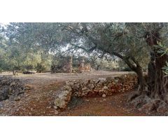 Parcela en Venta en Camarles, Tarragona