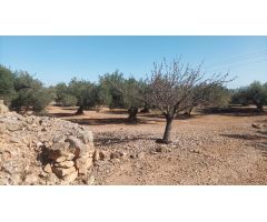 Casa de campo en Venta en LAmpolla, Tarragona
