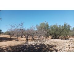 Casa de campo en Venta en LAmpolla, Tarragona