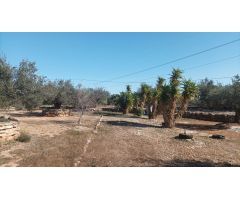 Casa de campo en Venta en LAmpolla, Tarragona
